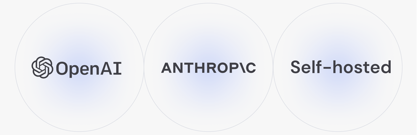 Three model options side by side: ChatGPT, Claude and self-hosted.